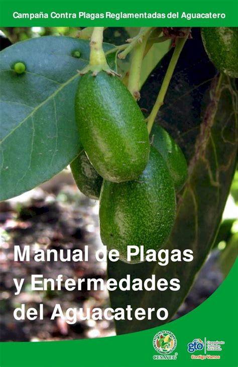 PDF Manual De Plagas Y Enfermedades Del Aguacateroy Enfermedades Del