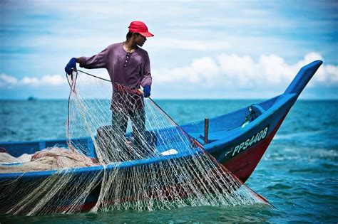 Net Fishing Black And White Photography Gone Fishing Fish Painting