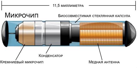 Чипирование людей. Почему ошибаются все? - Deep-Review