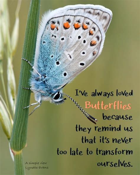 Inspiration By John On Twitter Butterflies Remind Us That S It S