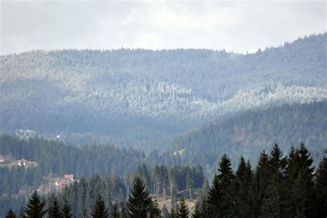 Zabelelo Se Na Vaskrs Sneg No As Pao Na Zlataru I Murtenici Foto