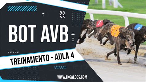 AVB EM CORRIDAS DE GALGOS Treinamento Completo AULA 4 YouTube