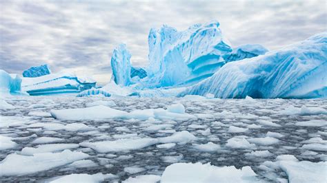 La Fonte De La Banquise Antarctique Atteint Un Nouveau Record