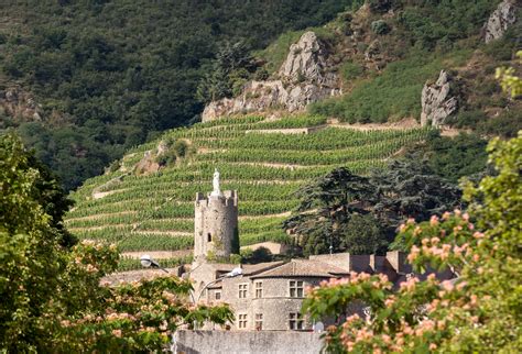 The mofo guide to Northern Rhône | French wine regions | Vinomofo