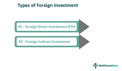 Foreign Investment What Is It Types Example Advantage