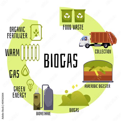 Biogas Production And Distribution Cycle Flat Vector Illustration