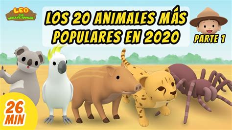 Los 20 Animales Más Populares En 2020 Compilación Parte 1 4 Español