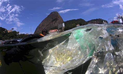 Estu Rio Da Ba A De Guanabara Tem Uma Das Maiores Concentra Es De