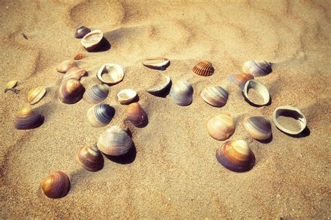 Pantai Pasir Laut Foto Gratis Di Pixabay Pixabay
