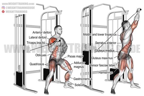 Twisting cable overhead press exercise instructions and video