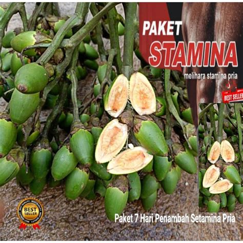 Jual Buah Pinang Muda Fresh 500 Gram Penambah Setamina Pria Shopee