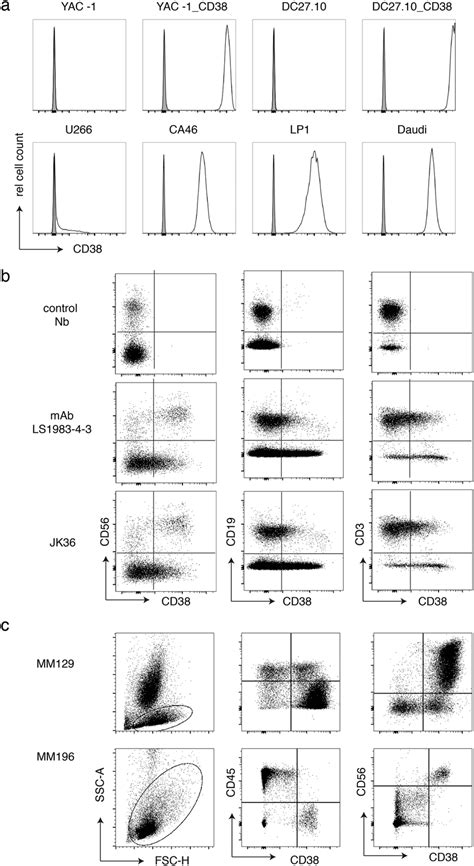 Fluorochrome Conjugated Nanobodies Detect Cd38 On The Surface Of