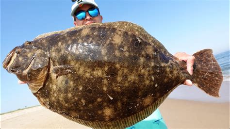 Giant Fluke From Shore Catch And Cook Epic Flounder Fishing W