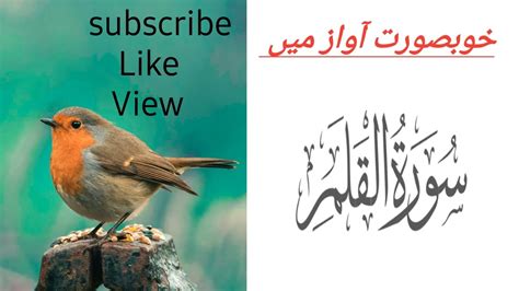 Surah Qalam Beautiful Recitation Beautiful Voice