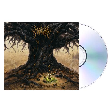 the axe forgets but the tree remembers 8