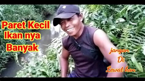 Paret Kecil Banyak Ikan Nya YouTube