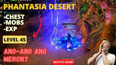 Mirm Level Phantasia Desert Chest Mobs Exp Drop Quick Video