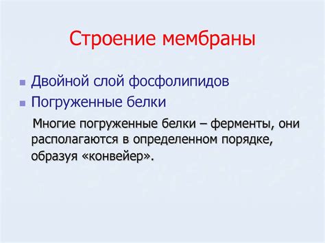 Плазматическая мембрана - презентация онлайн