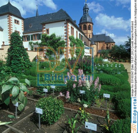 Details Zu Heilkr Utergarten Medizinalpflanzen Im