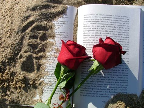 Patim Patam Patum Feliz Sant Jordi Y D A Del Libro