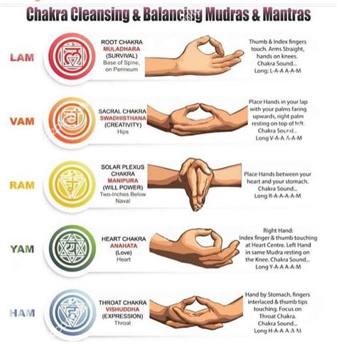 Pin by Bones on Live Well | Chakra meditation, Mudras, Chakra yoga