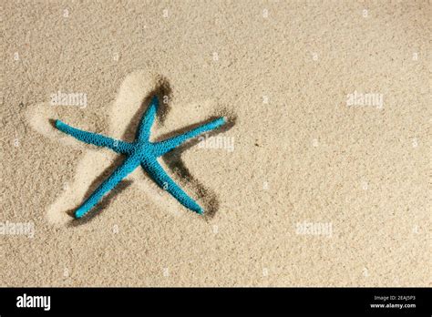 Starfish Lying On The Sand Stock Photo Alamy