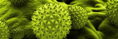 What Do You Mean There Is Pollen All Year Round? | Pollen.com