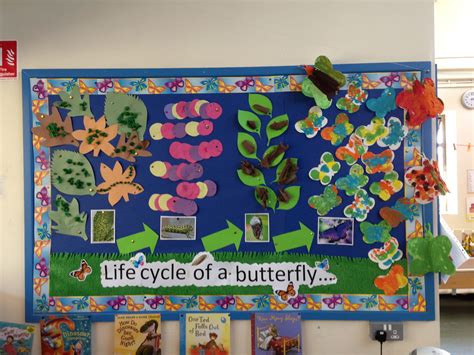 Life Cycle Of Butterfly Display Board For Early Years Butterfly