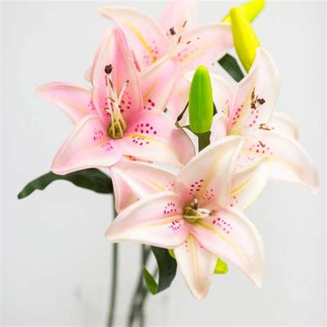 Pink Real Touch Tiger Lily Real Touch Flowers Tiger Lily Etsy