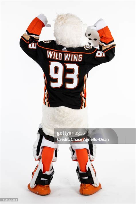 Anaheim Ducks mascot Wild Wing poses for a portrait on August 13 ...