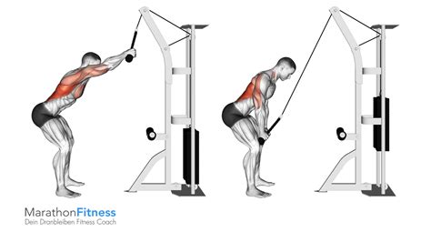 Latissimus Bungen F R Deinen Breiten R Ckenmuskel