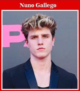 Nuno Gallego Biography Age Height Net Worth Career Latest Info