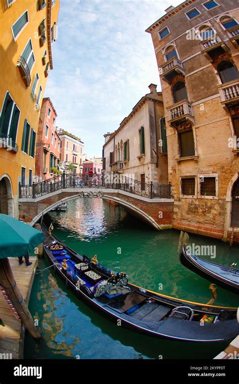 Image of canals in Venice with their gondolas, bridges and tourists ...