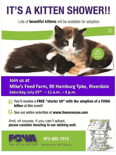 Fowa Rescue Kitten Shower At Mikes Feed Farm Wayne Nj Patch