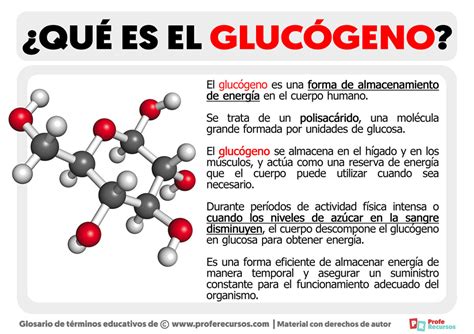 Qué es el Glucógeno Definición de Glucógeno