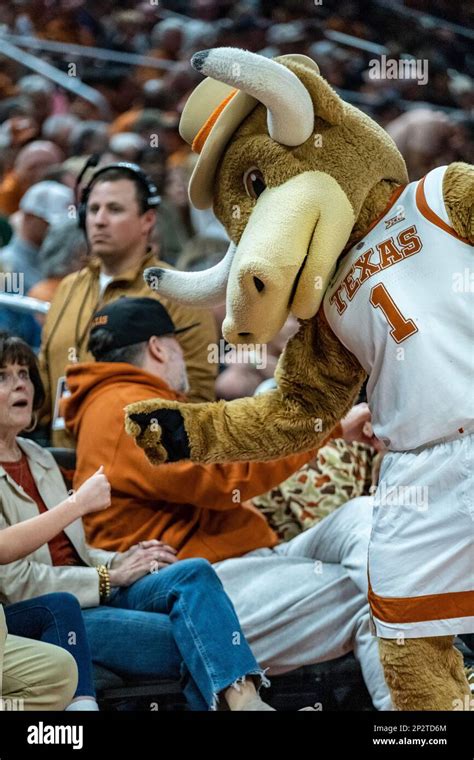 March 4 2023 Bevo The Mascot Of The Texas Longhorns In Action Vs The