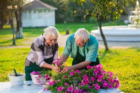 Senior gardening: Therapeutic Garden Benefits | Stannah Blog