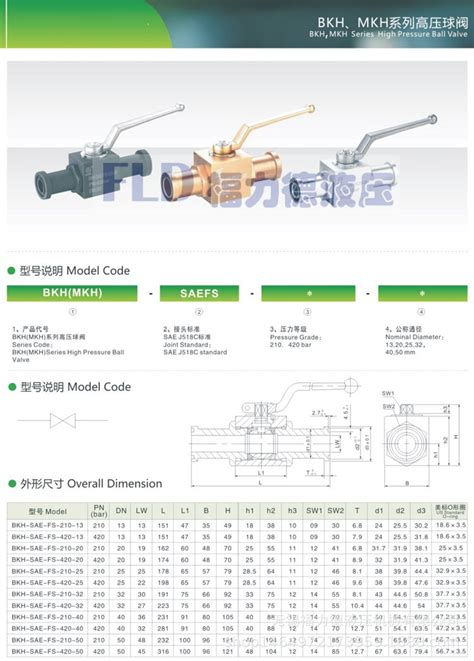 BKH SAE FS 210 13 BKH SAE FS 210 20 液压法兰式高压球阀 阿里巴巴
