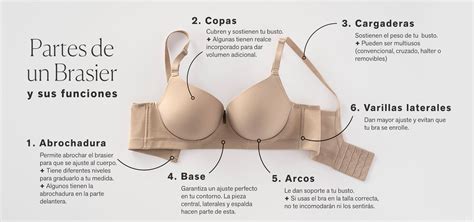 Tu guía irresisistible del bra Cómo elegir tu bra ideal test Leonisa