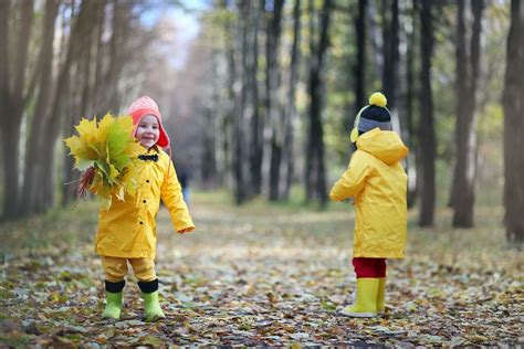 L herbier d automne une activité à réaliser en famille LaMaison fr