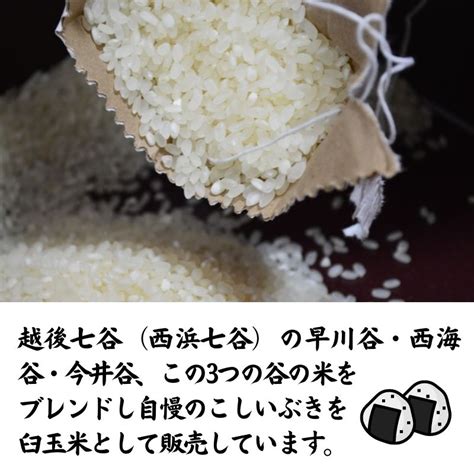 【楽天市場】【ふるさと納税】米 新米【令和6年産 新米先行予約 】新潟県産こしいぶき15kg 5kg×3袋 糸魚川産こしいぶき『臼玉米