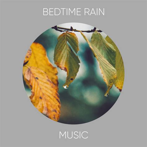 Background Bedtime Rain Water Music Compilation By Various