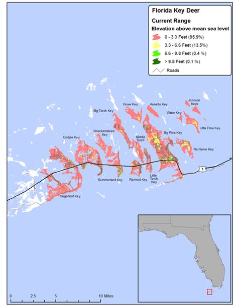 Florida Elevation Sea Level