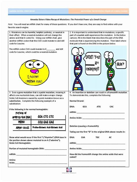 Amoeba Sisters Introduction To Cells Worksheet Amoeba Sister