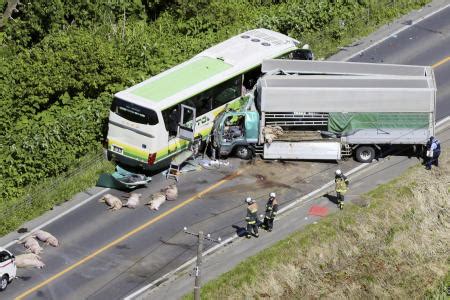 5 killed after truck collides with bus in Hokkaido in northern Japan｜Arab News Japan