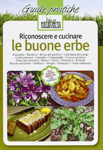 Riconoscere Cucinare Buone Erbe AbeBooks