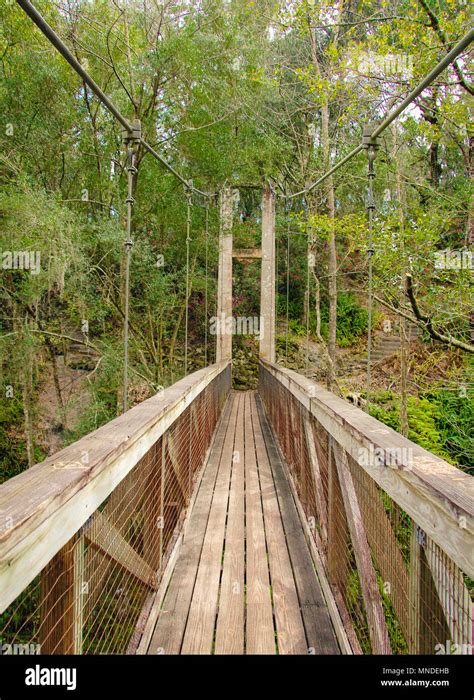 Ravine Gardens State Park In Palatka Florida Stock Photo Alamy