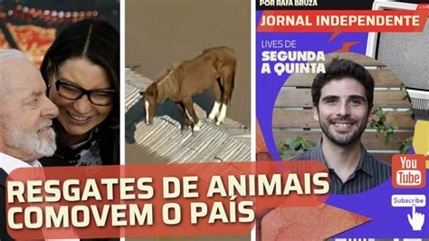 Resgates Do Cavalo Caramelo E Animais No Rs Comovem O Pa S E Pgr