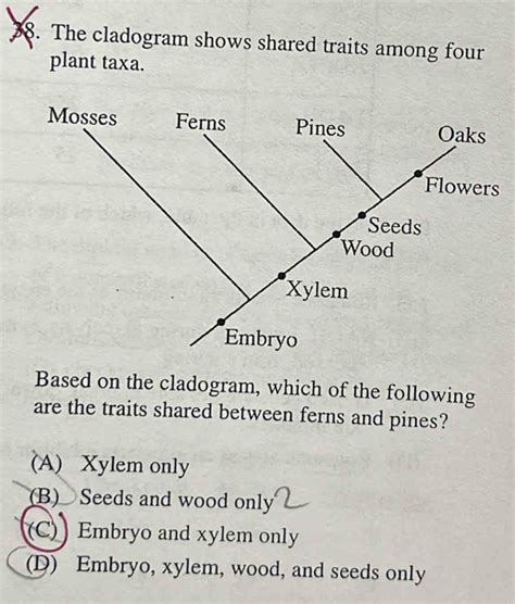 Solved: 8. The cladogram shows shared traits among four plant taxa ...