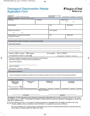 Fillable Online Downspout Disconnection Rebate Application Form Fax